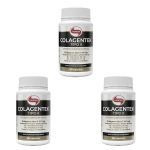Kit 3X Colagentek Tipo II - 60 C�psulas - Vitafor