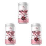 Kit 3X Collagen Protein Bodybalance - 450g Red Berries - True Source