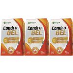 Kit 3X Condrogel Col�geno Tipo II - 30 C�psulas - Katigu�