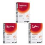 Kit 3X Cranberry Extreme - 30 C�psulas - Katigu�