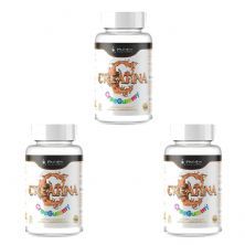 Kit 3X Creatina Creagummy - 60 Gomas Laranja - IND Labs