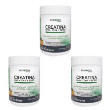 Kit 3X Creatina + HMB + ZMA + BORO - 300g Lim�o Siciliano - Endogen