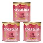 Kit 3X Creatina Monohidratada - 40 Dados 6,5g Caramelo de Morango - Desinch�