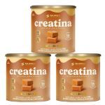 Kit 3X Creatina Monohidratada - 40 Dados 6,5g Caramelo - Desinch�