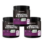 Kit 3X Creatine com D-ribose - 240g Natural - NewNutrition