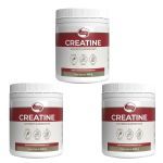 Kit 3X Creatine Monohidratada - 300g - Vitafor