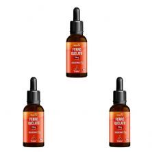 Kit 3X Ferro Quelato 10mg Gotas - 30ml Doce de Leite - Bigens