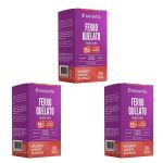 Kit 3X Ferro Quelato Bisglicinato - 30 C�psulas Vegetais - Sanavita