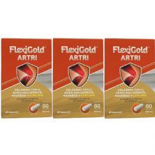 Kit 3X Flexigold Artri - 60 C�psulas - Herbamed