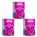 Kit 3X Fortegestan Completo - 60 C�psulas - Katigu�