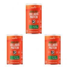 Kit 3X Grass Fed Balance Collagen Protein - 450g Neutro - Bigens