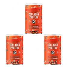 Kit 3X Grass Fed Balance Collagen Protein - 560g Chocolate com Avel� - Bigens