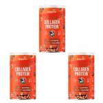 Kit 3X Grass Fed Balance Collagen Protein - 560g Chocolate com Avel� - Bigens