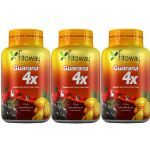 Kit 3X Guarana 4X - 60 C�psulas - Fitoway