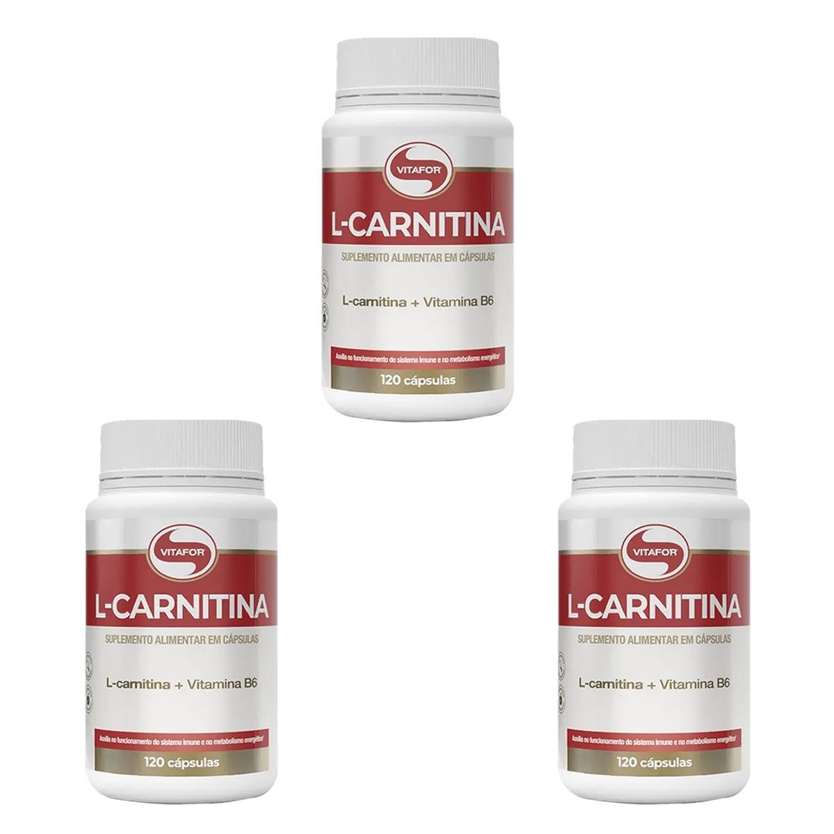 Kit 3X L-Carnitina + Vitamina B6 - 120 C�psulas - Vitafor