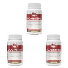 Kit 3X L-Carnitina + Vitamina B6 - 120 C�psulas - Vitafor