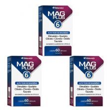 Kit 3X MagPlus 6 - 60 C�psulas - Herbamed
