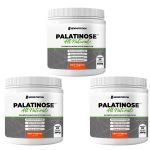 Kit 3X Palatinose - 300g Tangerina - NewNutrition