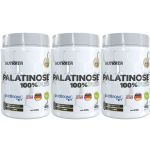 Kit 3X Palatinose - 400g Natural - Nutrata