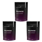 Kit 3X Palatinose Natural da Beterraba - 300g Neutro - Puravida
