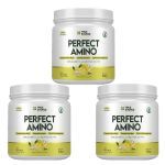Kit 3X Perfect Amino - 360g Citrus Rush - True Source