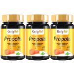 Kit 3X Prop�lis - 60 C�psulas - Qualynutri