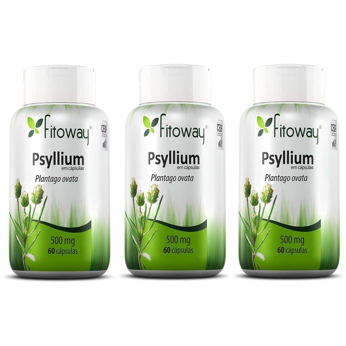 Kit 3X Psyllium 500Mg 60 C�psulas - Fitoway