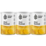 Kit 3X Shot Matinal - 150g Lim�o - Ocean Drop