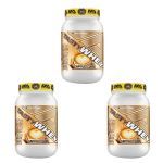 Kit 3X Tasty Whey 3W - 900g Cappuccino - Adaptogen