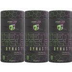 Kit 3X Testo Cycle Dynasty - 120 Tabletes - Under Labz