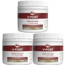 Kit 3X V-Fort - 240g Frutas Vermelhas - Vitafor