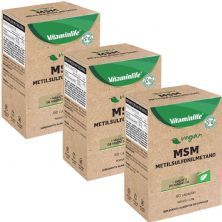 Kit 3X Vegan MSM + Malato de Magn�sio - 60 C�psulas - VitaminLife