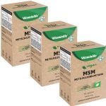 Kit 3X Vegan MSM + Malato de Magn�sio - 60 C�psulas - VitaminLife