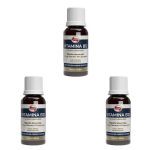 Kit 3X Vitamina B12 - 20ml Menta - Vitafor