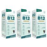 Kit 3X Vitamina B12 em Gotas - 20ml Uva - Lauton