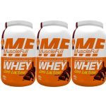 Kit 3X Whey Concentrado Zero Lactose - 900g Chocolate - MuscleFull
