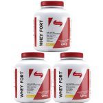 Kit 3X Whey Fort - 1800g Baunilha - Vitafor