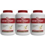 Kit 3X Whey Fort 3W - 1800g Baunilha - Vitafor