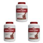 Kit 3X Whey Fort 3W - 1800g Chocolate - Vitafor