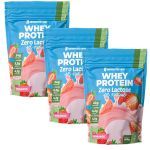 Kit 3X Whey Protein Zero Lactose All Natural - 900g Refil Morango - NewNutrition