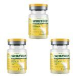 Kit 3X WheyDop - 25g Leite em P� - ElementoPuro