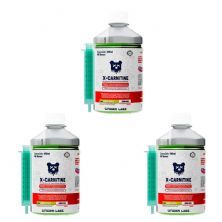 Kit 3X X-carnitine -�480ml Green Apple - Under Labz