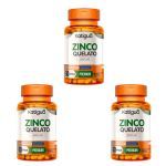 Kit 3X Zinco Quelato - 60 C�psulas - Katigu�