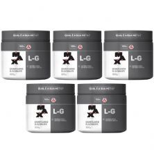 Kit 5 Glutamina L-G - 300g - Max Titanium
