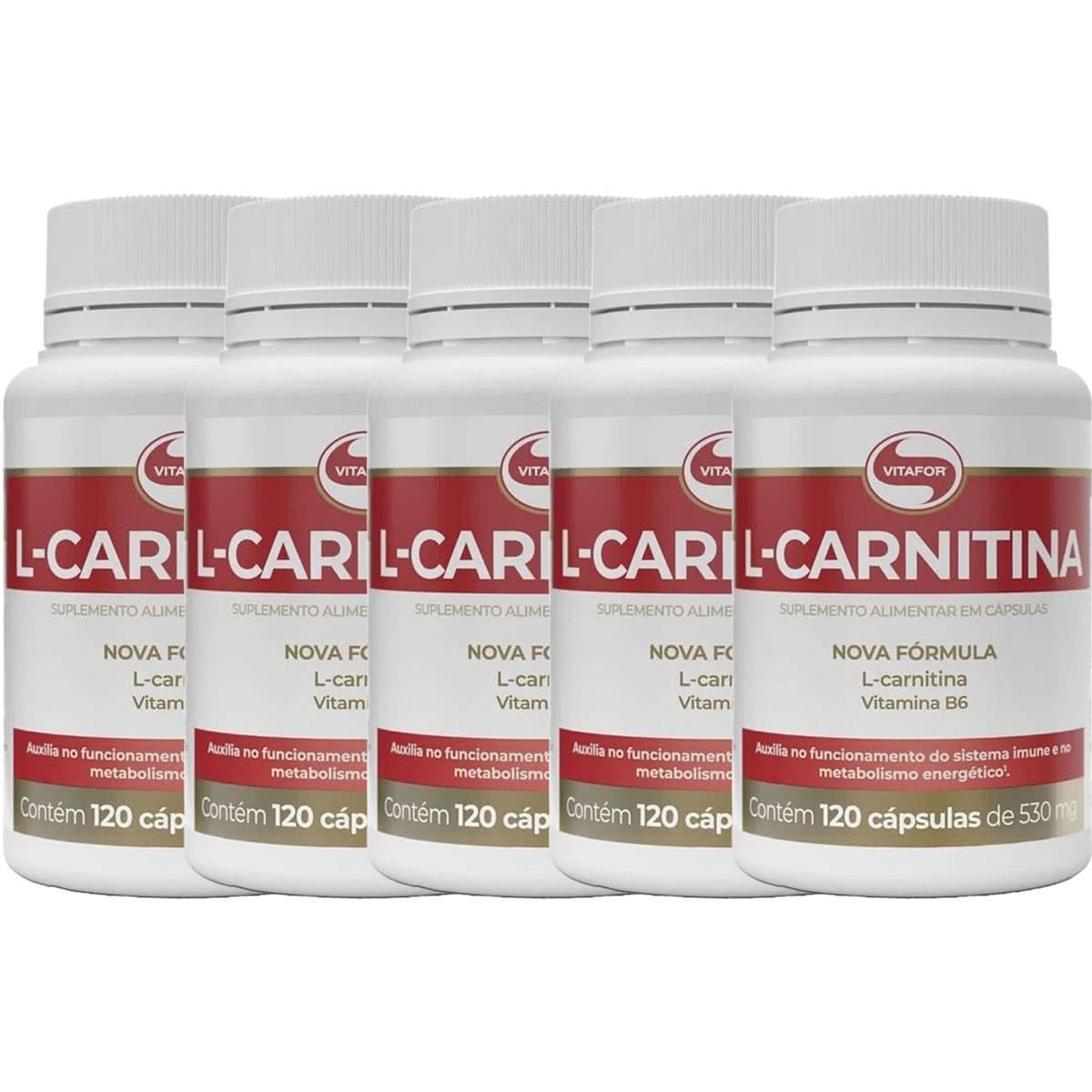 Kit 5 L-Carnitina - 120 C�psulas - Vitafor