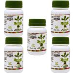Kit 5X Ado�ante 100% Natural - 40g - Color Andina