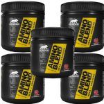 Kit 5X Amino Blend 9 EAA + Arginina - 155g Frutas Vermelhas - Leader Nutrition