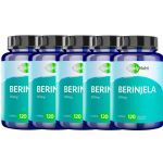 Kit 5X Berinjela - 120 C�psulas - QualyNutri