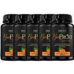 Kit 5X Bio Prost �leo de Semente de Ab�bora - 60 C�psulas - Bioklein
