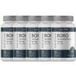 Kit 5X Boro Decahidratado - 60 Comprimidos - Lauton Nutrition